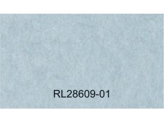 岚风 (RELAX1.8)图8
