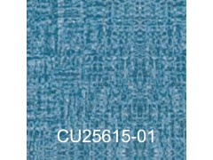 广雅(Cube)图2