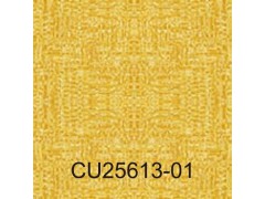 广雅(Cube)图4