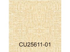 广雅(Cube)图6