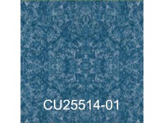 广雅(Cube)图9