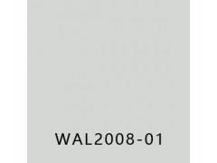 优捷(MEDSTEP WALL)图2