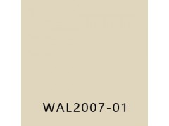 优捷(MEDSTEP WALL)图3