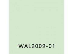 优捷(MEDSTEP WALL)图6