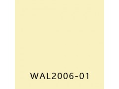 优捷(MEDSTEP WALL)图9