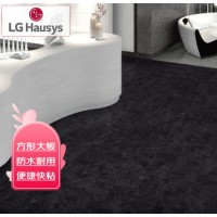 LG Hausys 方形PVC石塑地板 环保 防水 耐用 家用 6063 商用地胶