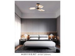 雷士照明乘风系列699元起图7