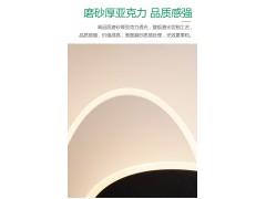 雷士照明椭圆壁灯图4