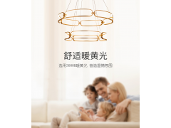 雷士照明伯克丽吸顶灯—空格系列图7