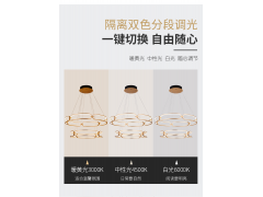 雷士照明伯克丽吸顶灯—空格系列图6