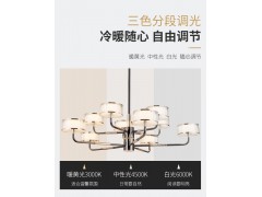 雷士照明伯克丽吊灯—朔月系列图6