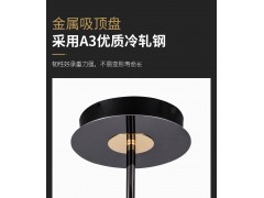 雷士照明伯克丽吊灯—朔月系列图8