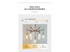 NVC雷士照明吊灯——香水百合系列图4