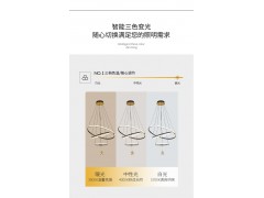 NVC雷士照明吊灯——寰球系列图4