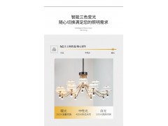 NVC雷士照明吊灯——卓凡系列图4