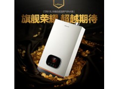 万和645W13冷凝节能智能恒温天然气燃气热水器电家用恒温强排13升图4
