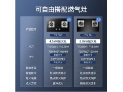 万和X520A抽油烟机燃气灶套餐烟灶烟机灶具套装组合烟灶热三件套图7
