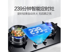 万和T8燃气灶煤气灶双灶家用嵌入式台式天然气液化气定时猛火灶图3