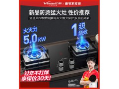 万和L90燃气灶煤气灶双灶家用嵌入式天然气台式液化气猛火炉灶具图1