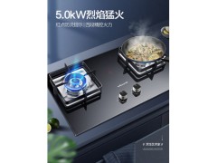 万和L90燃气灶煤气灶双灶家用嵌入式天然气台式液化气猛火炉灶具图2