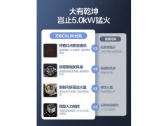 万和L90燃气灶煤气灶双灶家用嵌入式天然气台式液化气猛火炉灶具图3