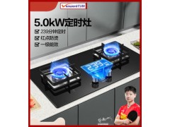 万和95燃气灶双灶家用天然气智能定时灶具台式嵌入式两用聚能炉灶图1