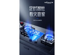 万和95燃气灶双灶家用天然气智能定时灶具台式嵌入式两用聚能炉灶图5