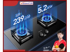 万和96燃气灶双灶家用天然气智能定时灶具台式嵌入式两用聚能炉灶图1
