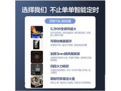 万和96燃气灶双灶家用天然气智能定时灶具台式嵌入式两用聚能炉灶图3
