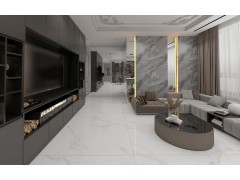 威尼斯白-RT18312P图1