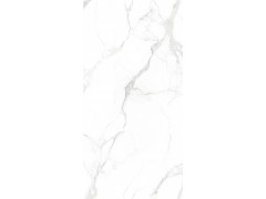 威尼斯白-RT18312P图4