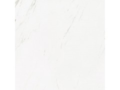 卡拉卡塔白-RC80302图4