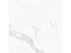 卡拉拉白RT80302图2