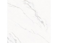 卡拉拉白RT80302图4