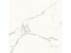 鱼肚白RT80311图2
