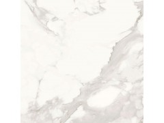 鱼肚白RT80311图3
