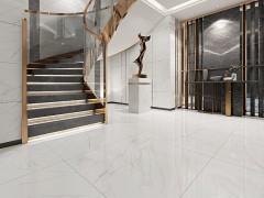 蜘蛛白RT80307图1