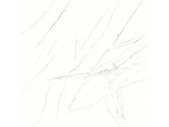 蜘蛛白RT80307图2