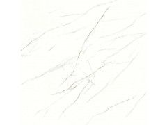 蜘蛛白RT80307图3