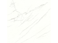 蜘蛛白RT80307图4