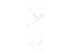 维多利亚白MS82609W11Y-A,B,C,D(4片左右无限连纹)图3