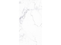 至尊雪花白MS122409W01L(4版面)图3