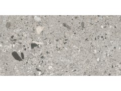 岗石Ⅱ代-QG12022图2