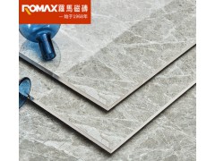 罗马磁砖 大理石瓷砖客厅卧室耐磨瓷砖防滑地板砖釉面砖FX80912C图2