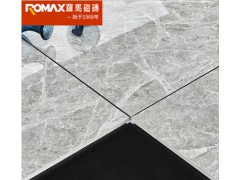 罗马磁砖 大理石瓷砖客厅卧室耐磨瓷砖防滑地板砖釉面砖FX80912C图3