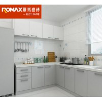 罗马磁砖 厨房洗手间瓷砖釉面砖墙面砖哑光地板砖腰线花砖DJQ326