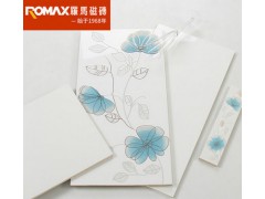 罗马磁砖 厨房洗手间瓷砖釉面砖墙面砖哑光地板砖腰线花砖DJQ326图2