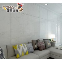 罗马磁砖 大理石瓷砖 800x800客厅墙砖防滑釉面地板砖RX80301