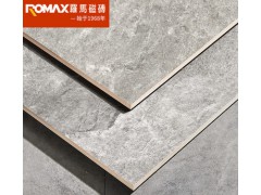罗马磁砖 仿古砖客餐厅瓷砖地砖600x1200柔光砖简约现代砖魔幻石图2
