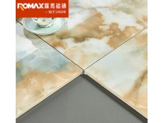 罗马磁砖 微晶石瓷砖 客厅卧室地砖大厅瓷砖 地板砖墙砖 RJ80818M图3